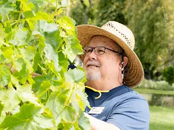 Man tending to his plants