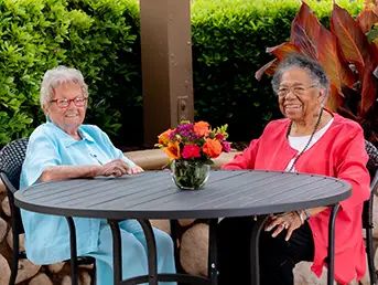 Two ladies conversing at a table